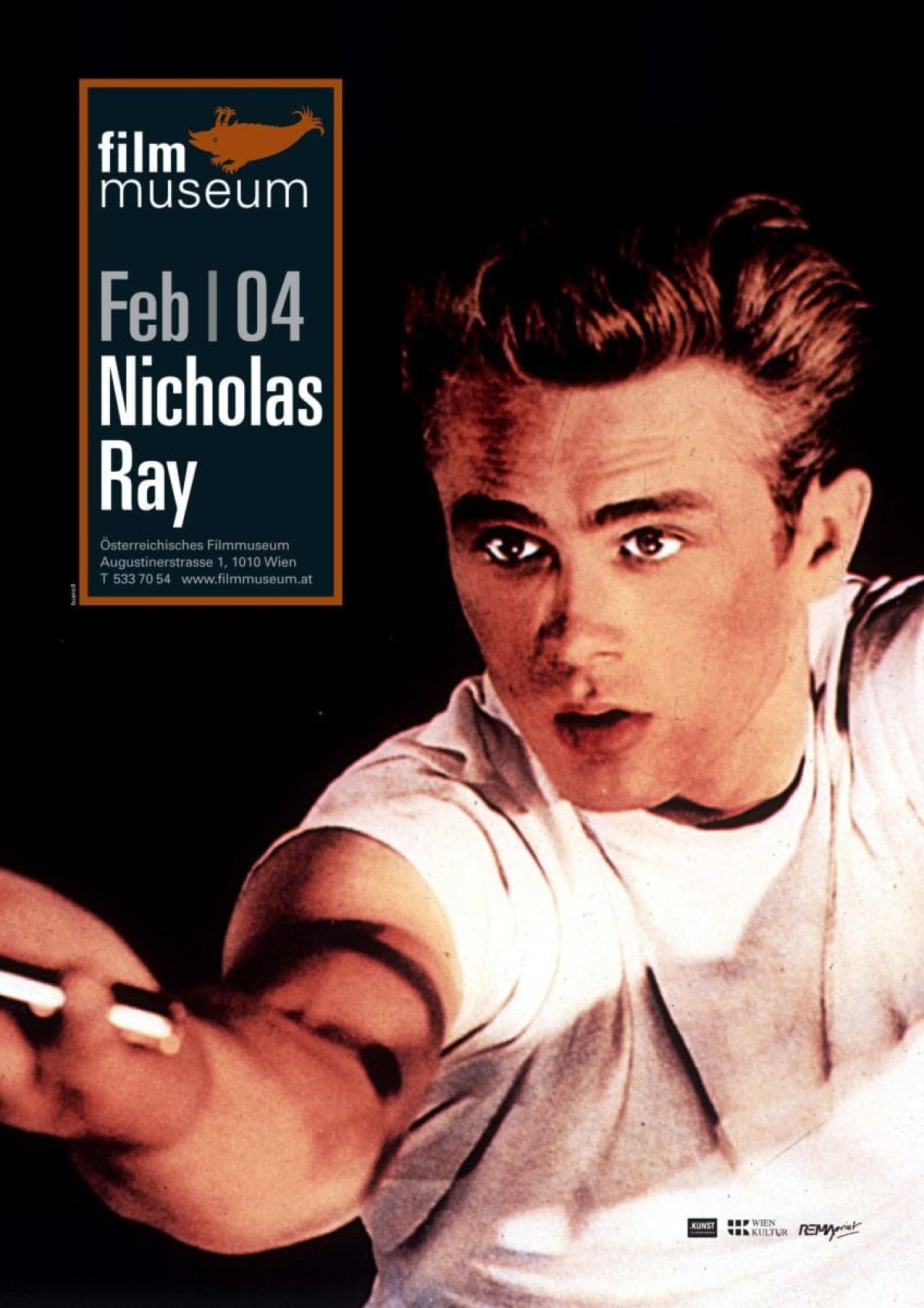 Plakat Nicholas Ray