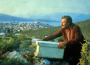 O Melissokomos (Der Bienenzüchter), 1986, Theo Angelopoulos