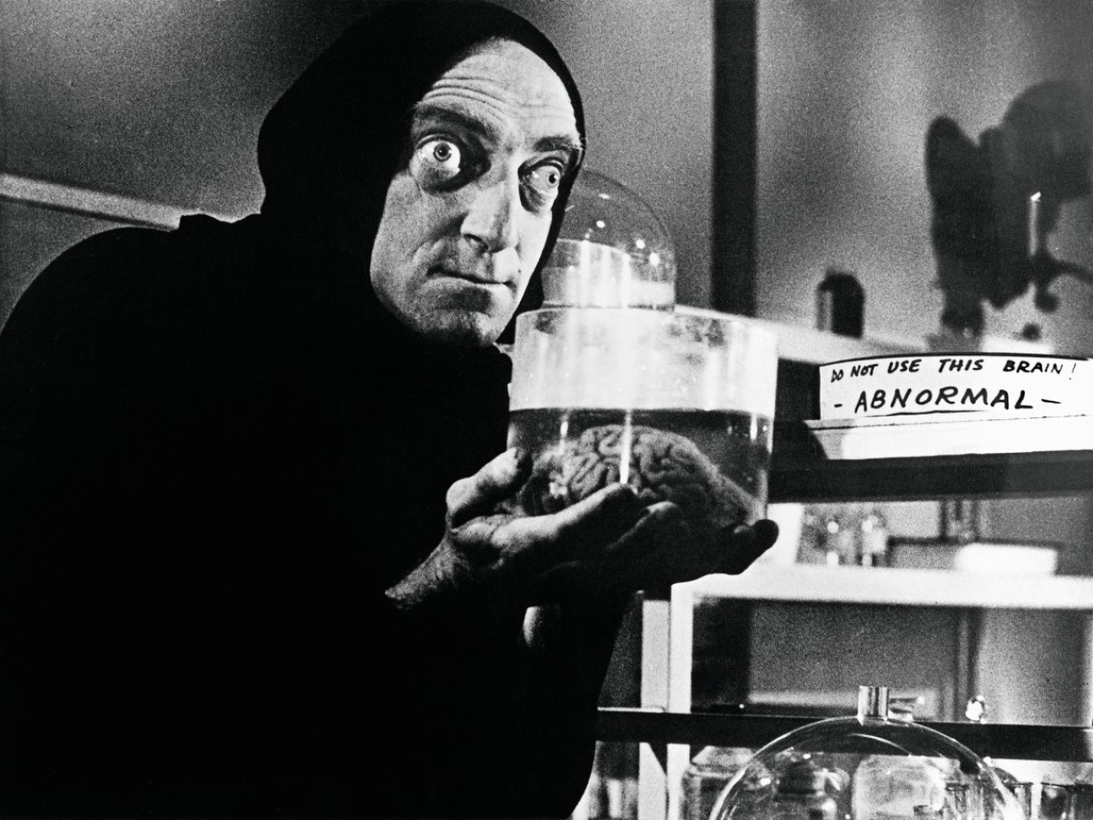 Young Frankenstein, 1974, Mel Brooks