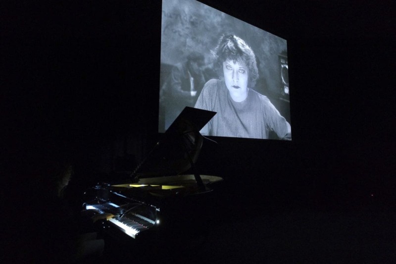 Meg Morley © Viennale/Roland Ferrigato Meg Morley © Viennale/Roland Ferrigato