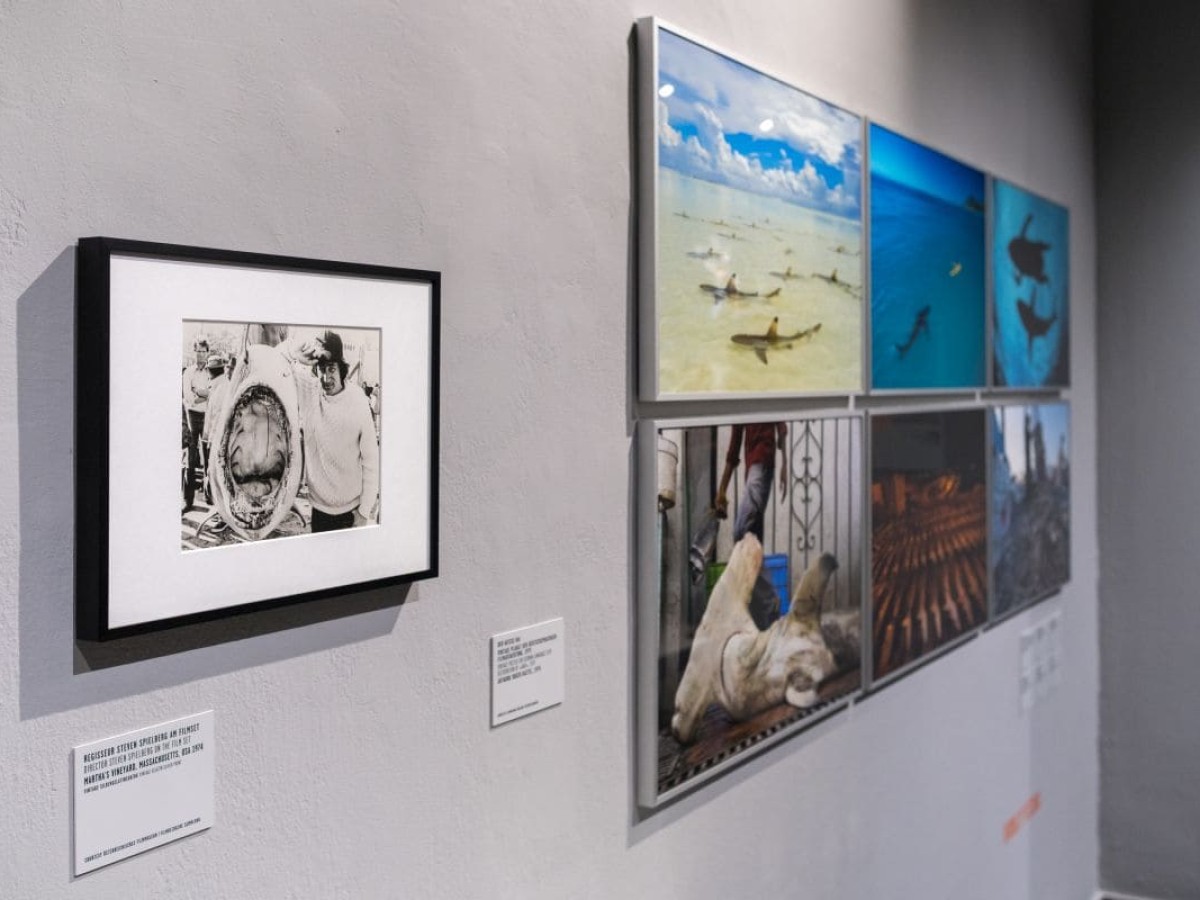 Ausstellung "Unter Wasser" im Westlicht mit Leihgaben aus der FIlmbezogenen Sammlung, April 2026 (Foto: ÖFM © Eszter Kondor)