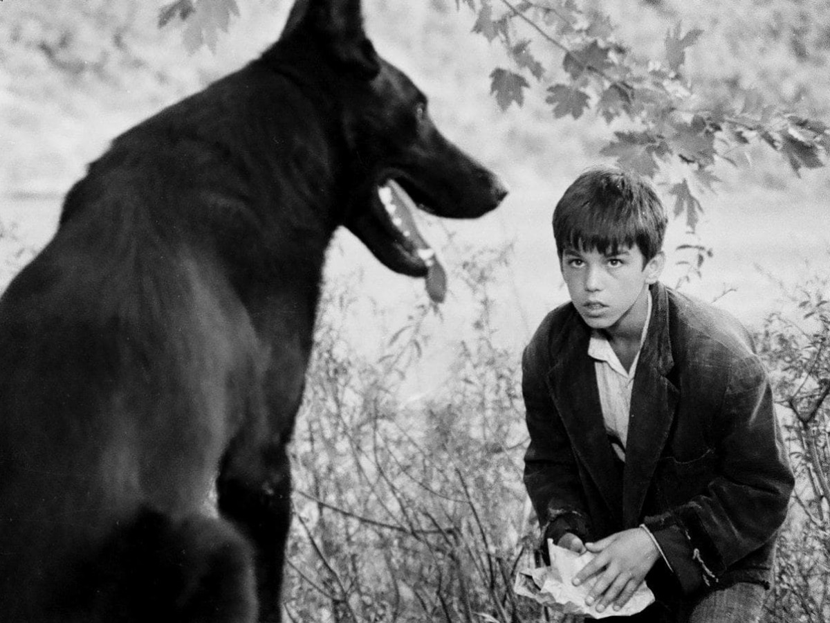 Tomka dhe shokët e tij (Tomka und seine Freunde), 1977, Xhanfise Keko