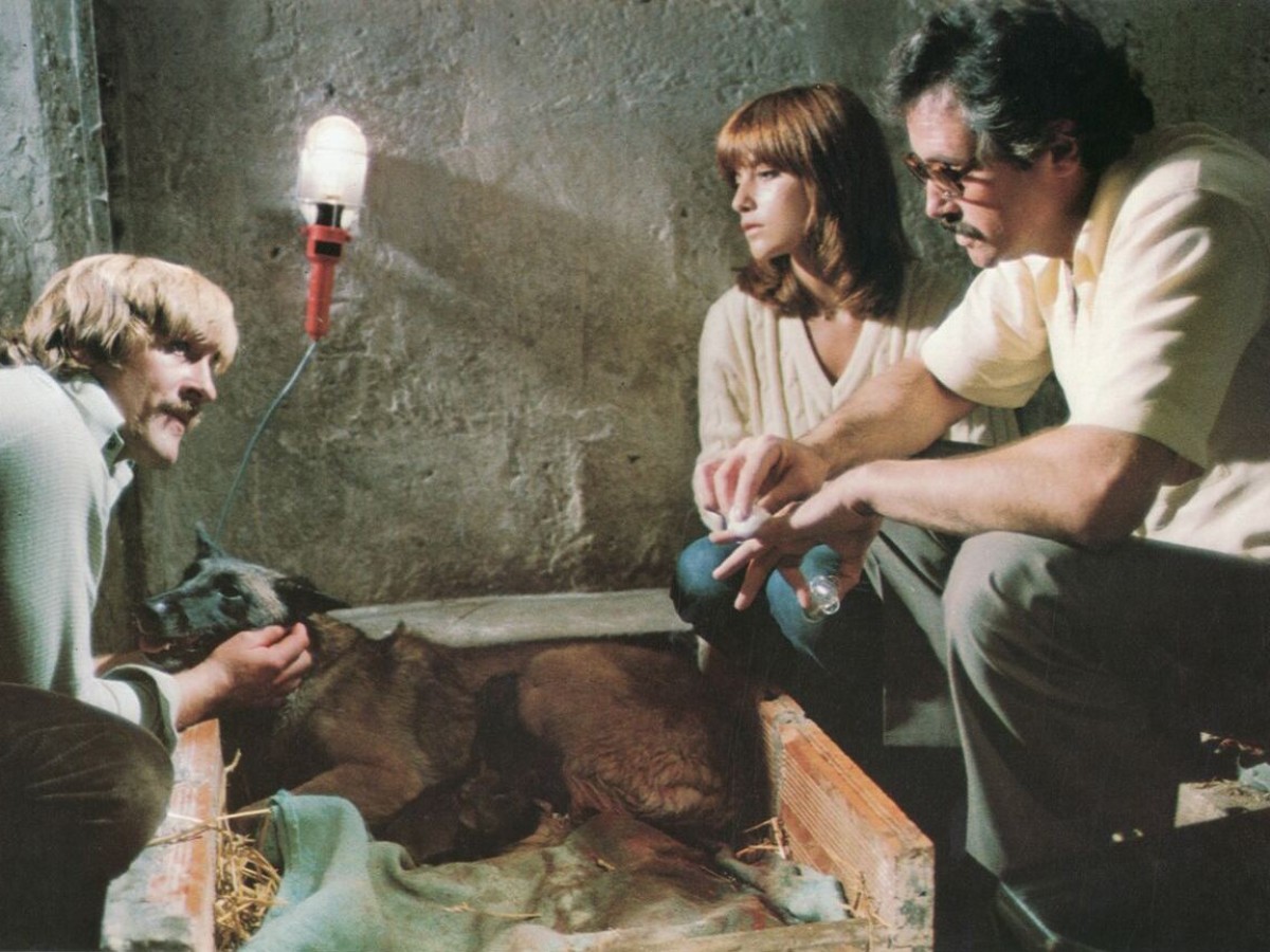 Les chiens (Die Hunde), 1979, Alain Jessua (Foto: DFF - Deutsches Filminstitut & Filmmuseum)