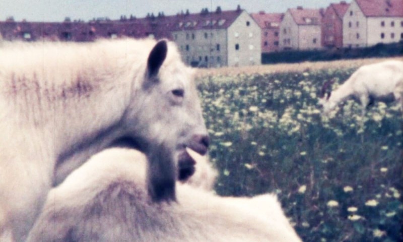 Am Rande der Großstadt, 1956, Viktor Alexander 