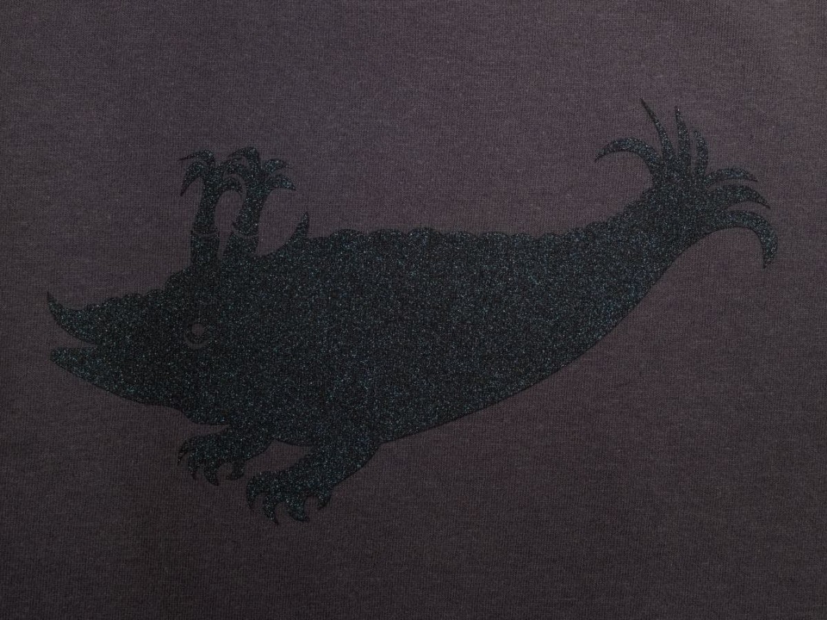 Langarmshirt (Anthrazit / Zyphius blau-schwarz glitzernd)