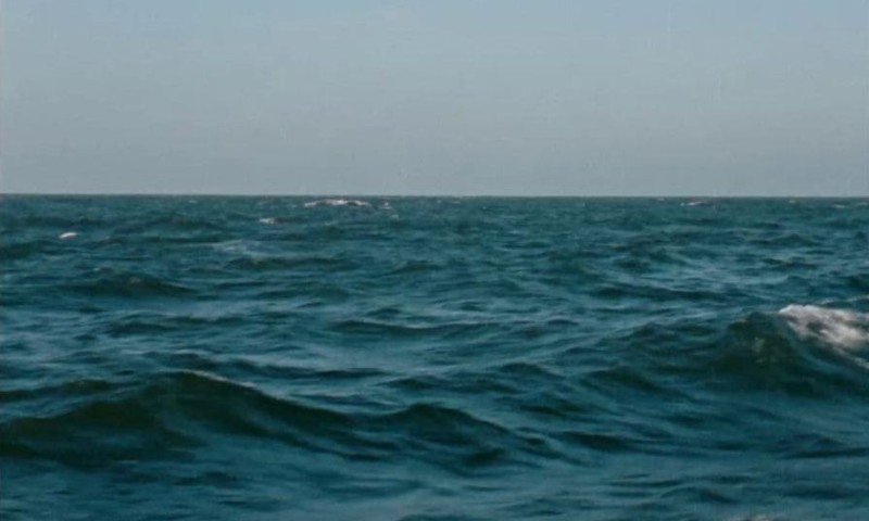 Sea, 4h, sailed, 2025, Manfred Schwaba