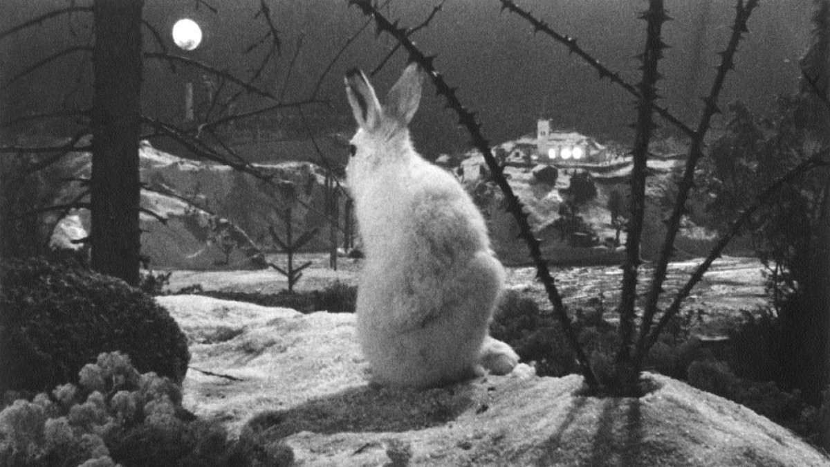 En kluven värld (A Divided World), 1947, Arne Sucksdorff (Foto: Swedish Film Institute)