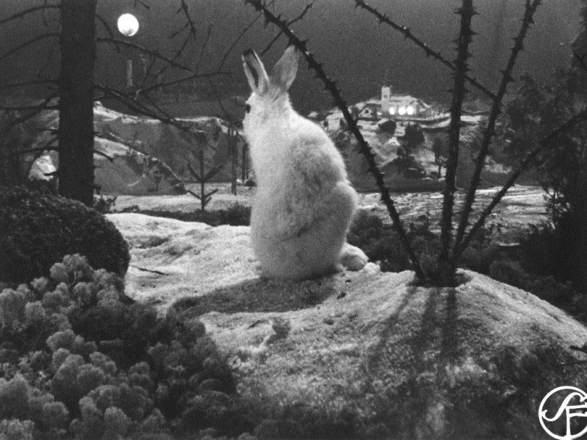 En kluven värld (A Divided World), 1947, Arne Sucksdorff (Foto: Swedish Film Institute)