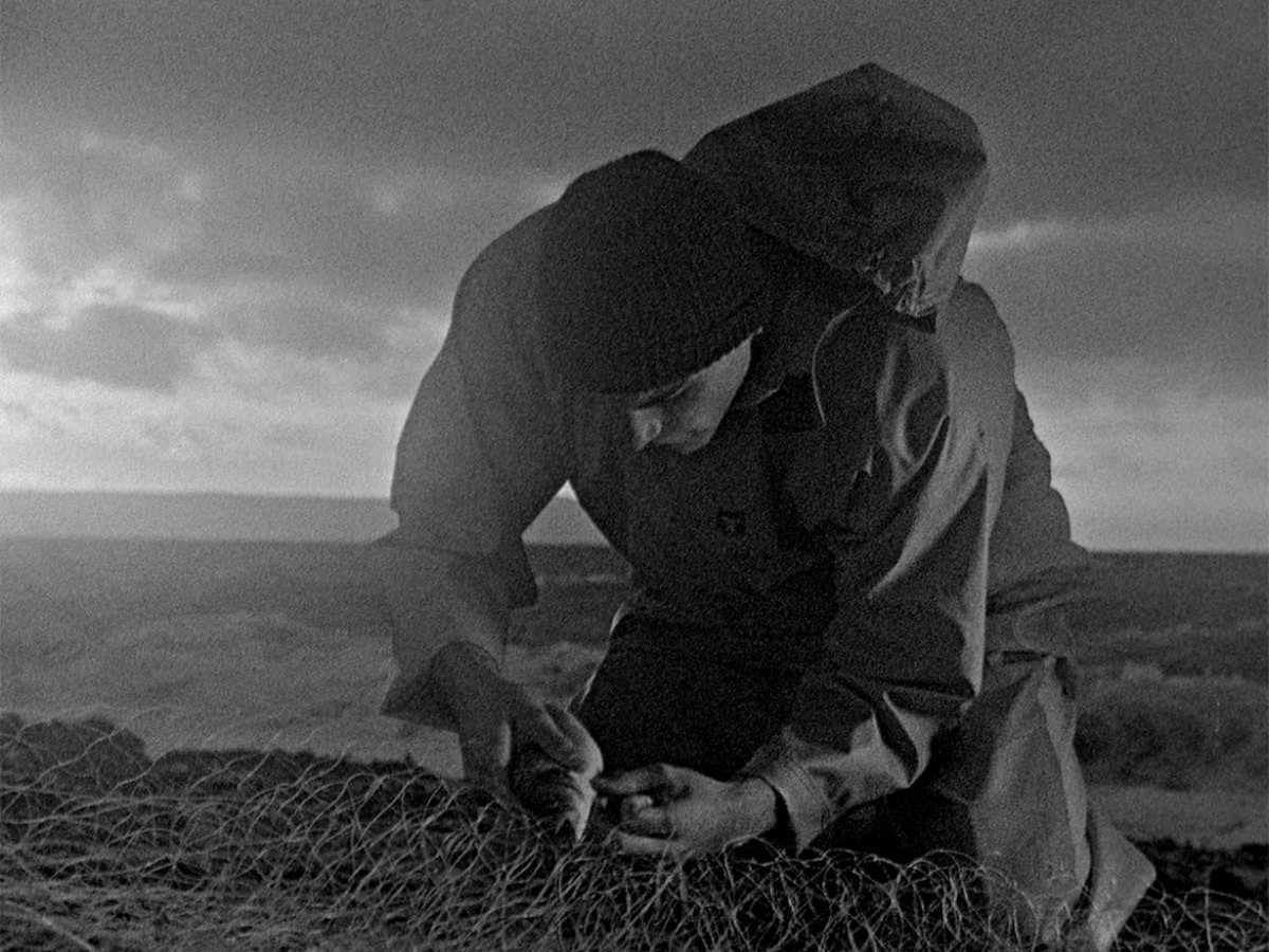 Bait, 2019, Mark Jenkin Bait, 2019, Mark Jenkin