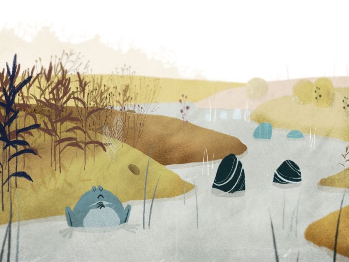 Novembre, 2015, Marjorlaine Perreten Novembre, 2015, Marjorlaine Perreten
