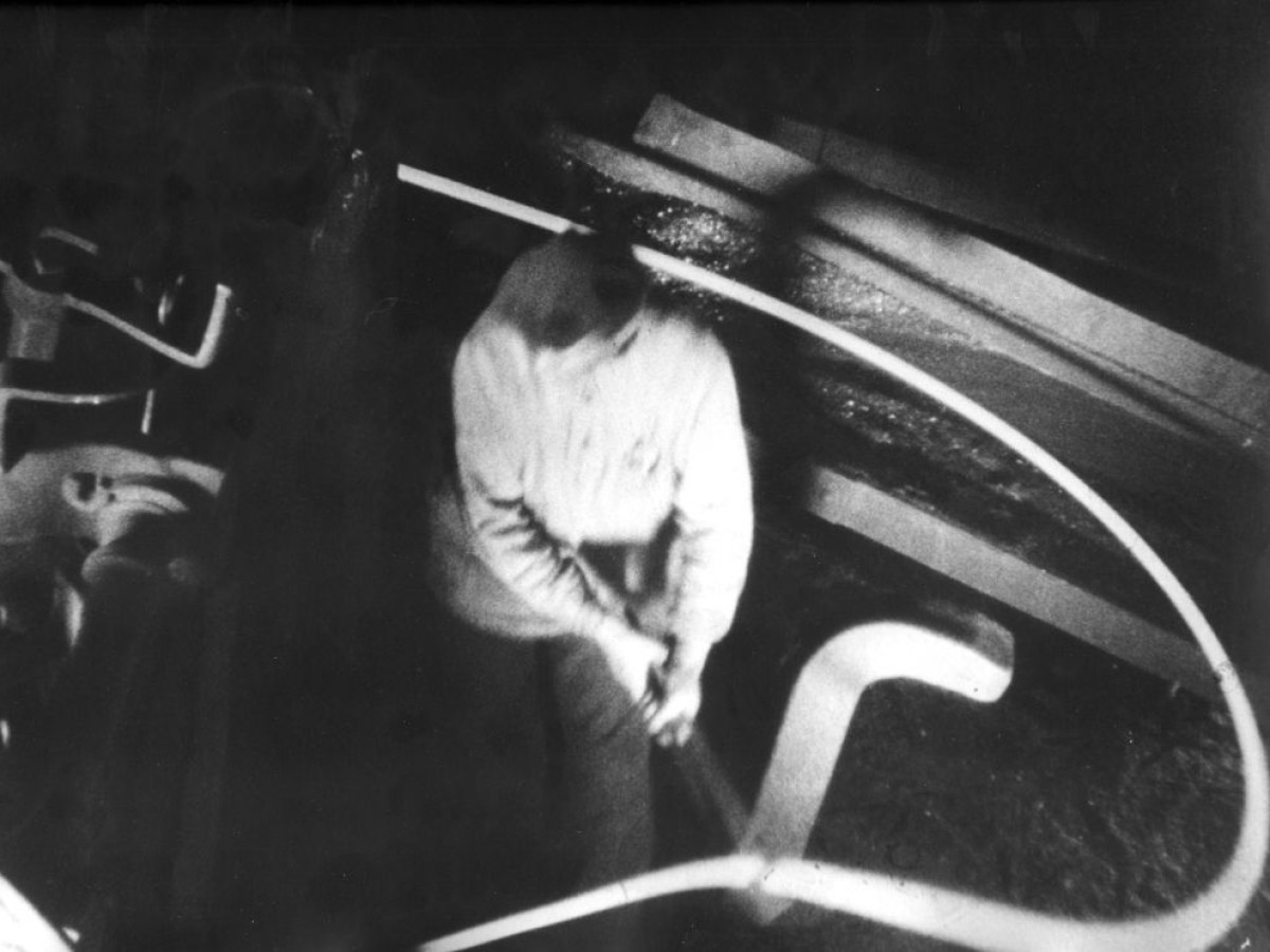 Entuziazm (Simfonija Donbassa), 1930, Dziga Vertov