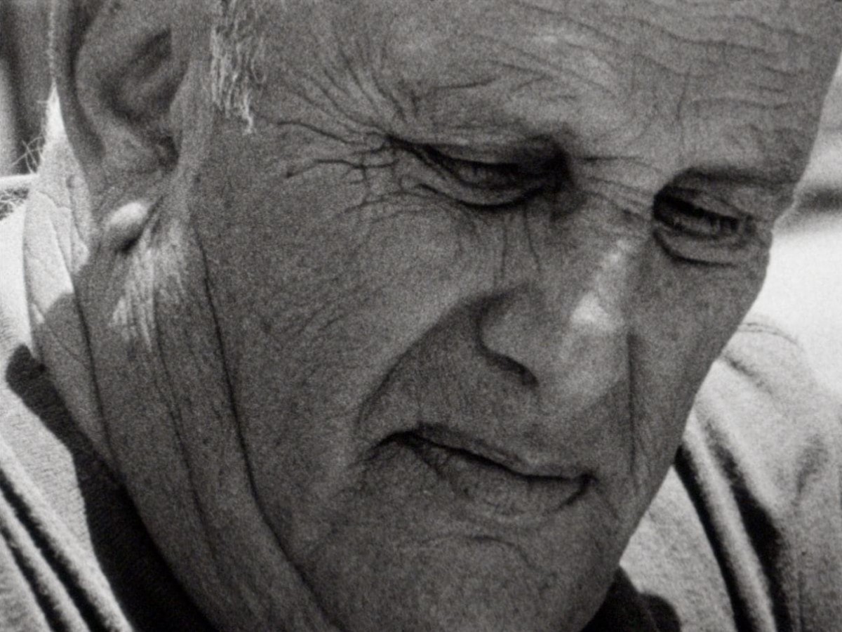 Birds of a Feather, 2019, Nora Sweeney