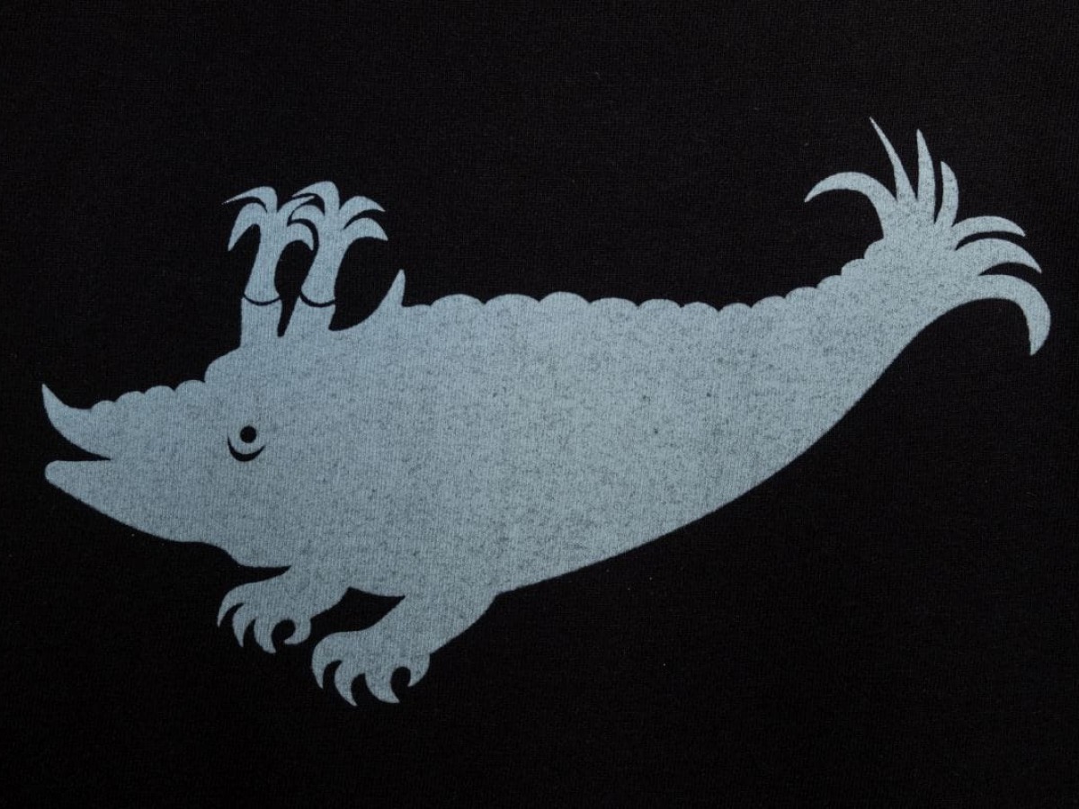 Langarmshirt (Schwarz / Zyphius hellblau)