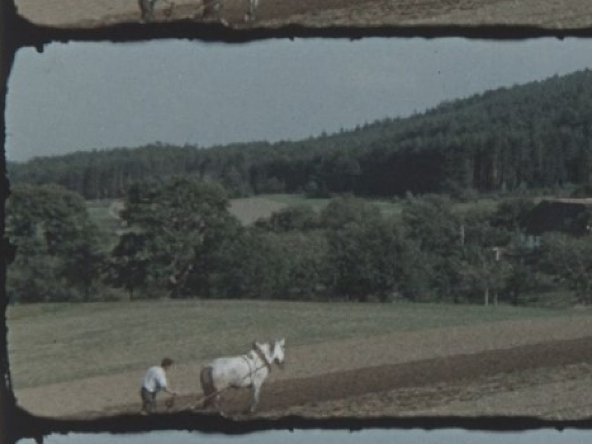 Zwischen Haus und Wald in bezaubernder Landschaft, 1965, Ilse Hilger