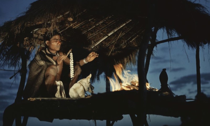 En djungelsaga (Dschungelsaga), 1957, Arne Sucksdorff (Foto: Swedish Film Institute)