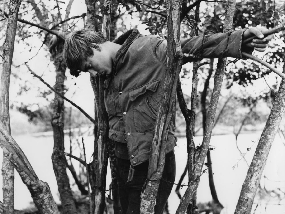Pojken i trädet (Die Wilderer vom Teufelsmoor), 1961, Arne Sucksdorff (Foto: Swedish Film Institute)