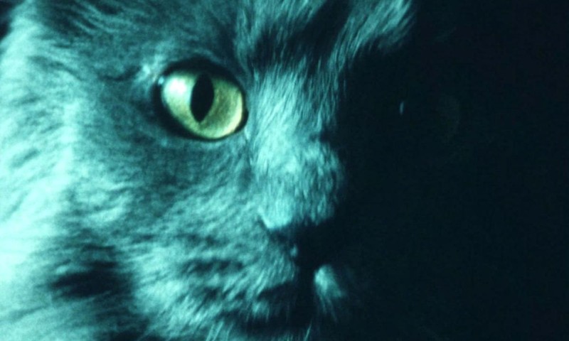 Trailer 20 Jahre Schule für unabhängigen Film Trailer 20 Jahre Schule für unabhängigen Film